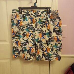 SKU 7W Time and True Shorts.